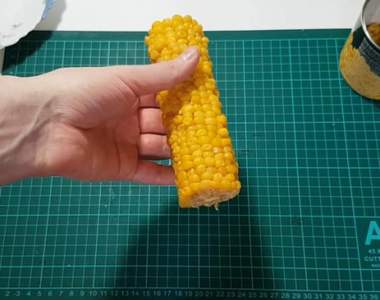 【有片】宅實驗《玉米罐頭等於幾根玉米呢》拍影片實際拍給大家看能還原多少隻？