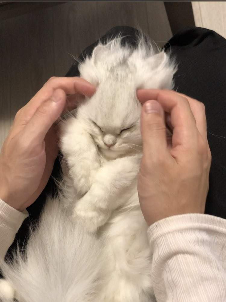 圖片2 圖片2