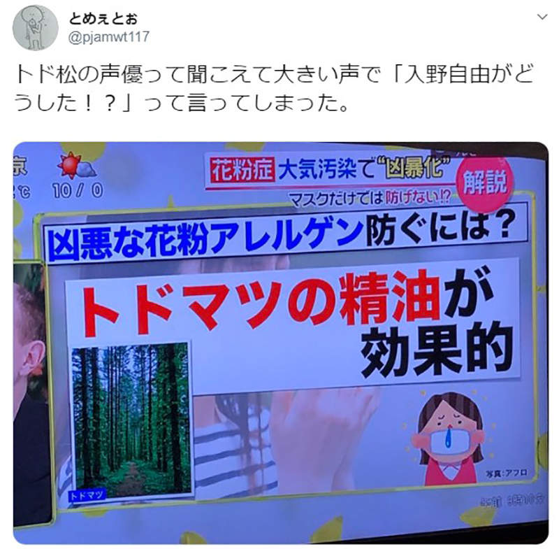 聲優入野自由 椴松美聲有助於緩解花粉症 一切都是日文諧音造成的天大誤會