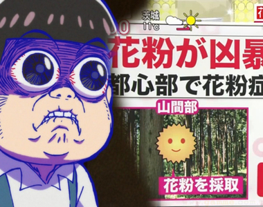 《聲優入野自由》椴松美聲有助於緩解花粉症?一切都是日文諧音造成的天大誤會……