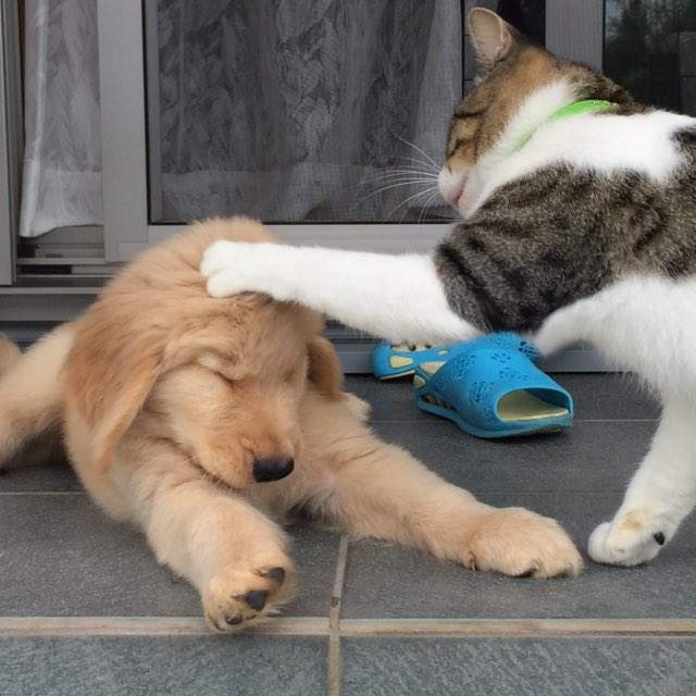 圖片2 圖片2