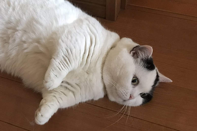 圖片2 圖片2
