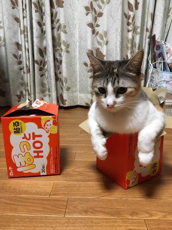 圖片3 圖片3