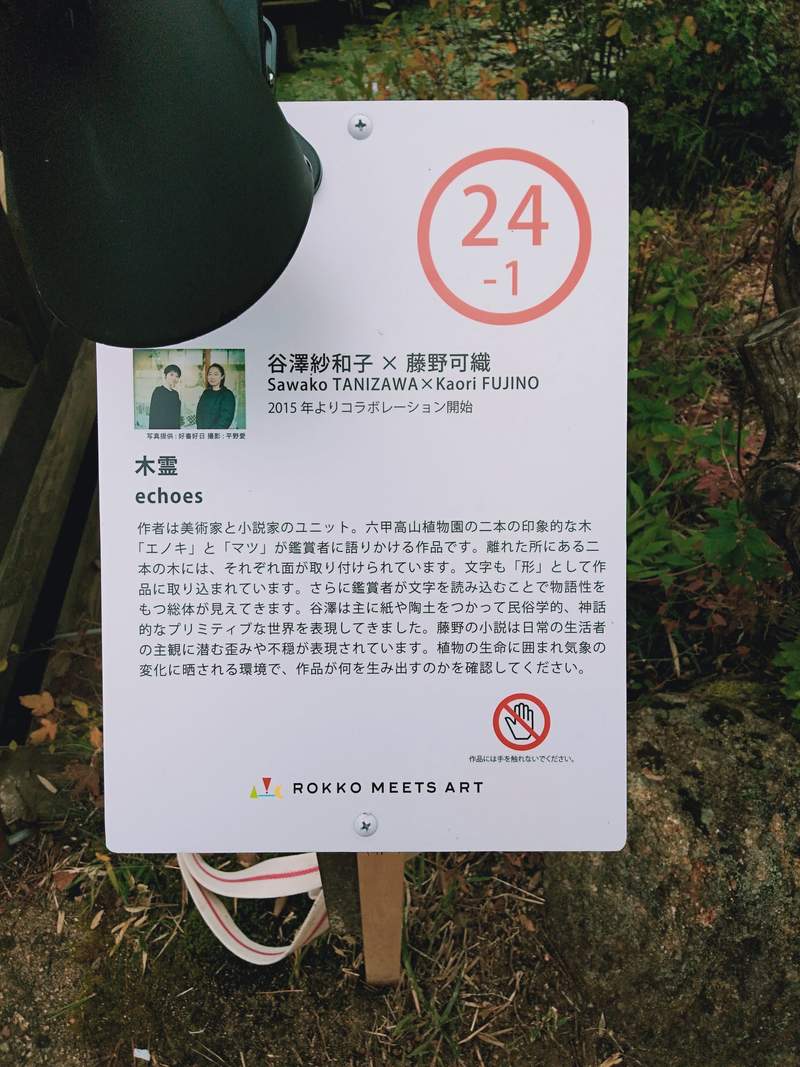 圖片6 深山驚見《恐怖看板》樹林中浮現的詭異人臉,晚上看到嚇哭都不奇怪啊... | 宅宅新聞