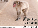 《肺炎疫情下的京都嵐山》猴子比人多、竹林空蕩蕩 廣告豁出去招攬觀光客回流 《肺炎疫情下的京都嵐山》猴子比人多、竹林空蕩蕩 廣告豁出去招攬觀光客回流