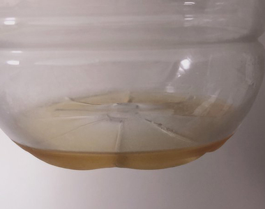 《老公讓老婆崩潰的怪習慣》這個寶特瓶湧入13萬人按讚，你能懂為什麼引起共鳴嗎？