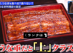 《綜藝節目養鰻魚500天》會吃掉自己命名的鰻魚嗎?工作人員培養出深厚感情超不捨…… 《綜藝節目養鰻魚500天》會吃掉自己命名的鰻魚嗎?工作人員培養出深厚感情超不捨……