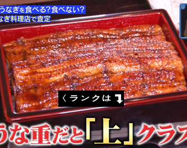 《綜藝節目養鰻魚500天》會吃掉自己命名的鰻魚嗎?工作人員培養出深厚感情超不捨……