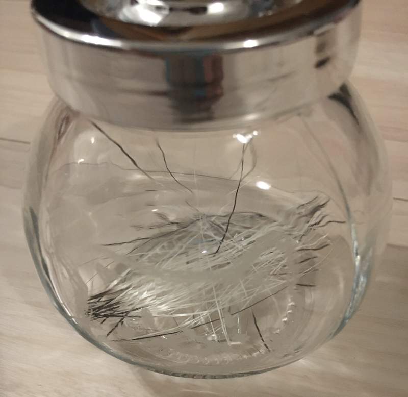 圖片10 收集掉落的貓鬍鬚《鬍鬚山》能帶來好運的貓鬍鬚就插在上面保存吧 | 宅宅新聞