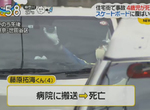 《藤原拓海車禍身亡》4歲小孩馬路邊玩滑板被車撞 撞名豆腐店車手引爆話題 《藤原拓海車禍身亡》4歲小孩馬路邊玩滑板被車撞 撞名豆腐店車手引爆話題