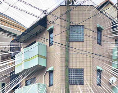 路邊驚見《直達屋頂的仙人掌》遠遠以為的電線桿，原來是巨大化的仙人掌ww