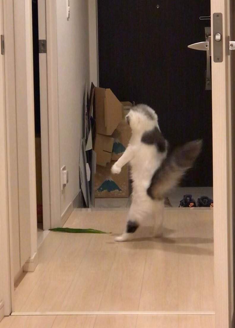 圖片2 圖片2