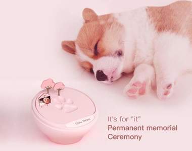 推特話題《寵物肉球拓》保存毛孩的可愛腳印作為一輩子的回憶紀念