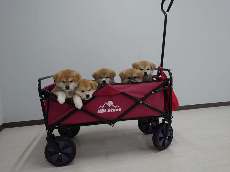 圖片3 圖片3