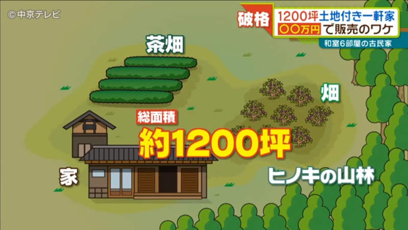 《日本鄉下超便宜不動產》1200坪土地含住宅只賣14萬日圓 還送全套家具只求年輕人搬來住…… | 宅宅新聞
