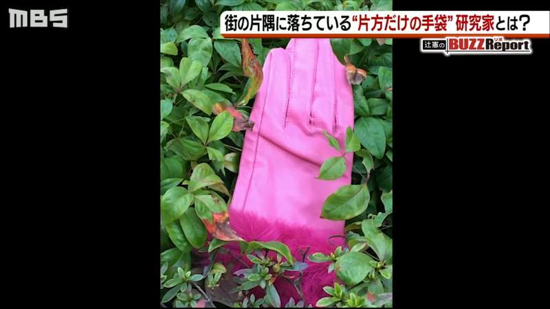 《單隻手套研究家石井公二》研究掉在地上的手套15年 人們丟手套的奧妙依然深不見底…… | 宅宅新聞