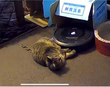 【有片】《來自掃地機器人的求救訊息》監視器拍到犯人堵住掃地機器人的囂張行徑引發瘋傳ww