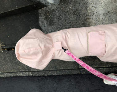 你想歪了嗎?《雨天散步的狗狗》飼主給你看雨衣,結果才發現大家思想一樣髒wwww