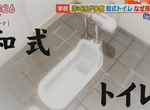 《蹲式馬桶成了學生惡夢》4成小學生從來沒上過 忍著排坐式馬桶成了校園生活的常態 《蹲式馬桶成了學生惡夢》4成小學生從來沒上過 忍著排坐式馬桶成了校園生活的常態