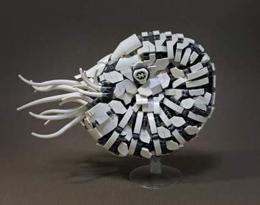 達人製作《鸚鵡螺樂高模型》我知道零件有很多但連觸手都會有嗎？