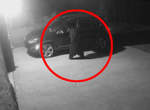 【有片】監視器拍到《會打開車門進去查看的熊》以為遭小偷結果拍到了不得了的東西 【有片】監視器拍到《會打開車門進去查看的熊》以為遭小偷結果拍到了不得了的東西