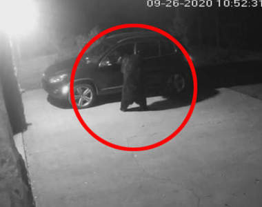 【有片】監視器拍到《會打開車門進去查看的熊》以為遭小偷結果拍到了不得了的東西