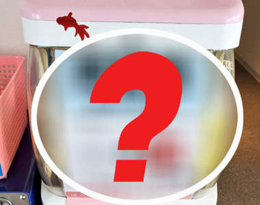 《扭蛋機的另類用法》不但空的扭蛋殼可以再利用，連機台電費都一起省了！？