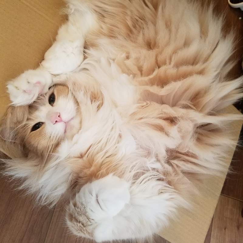 圖片2 圖片2
