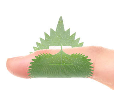 吃貨專用《紫蘇葉OK 繃》即使受傷也要讓手指保持美味狀態（？）