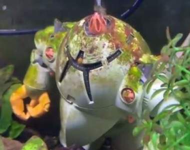 鋼彈模型活用法《佐克魚缸濾水器》超酷創意真的變成了水陸兩用機惹