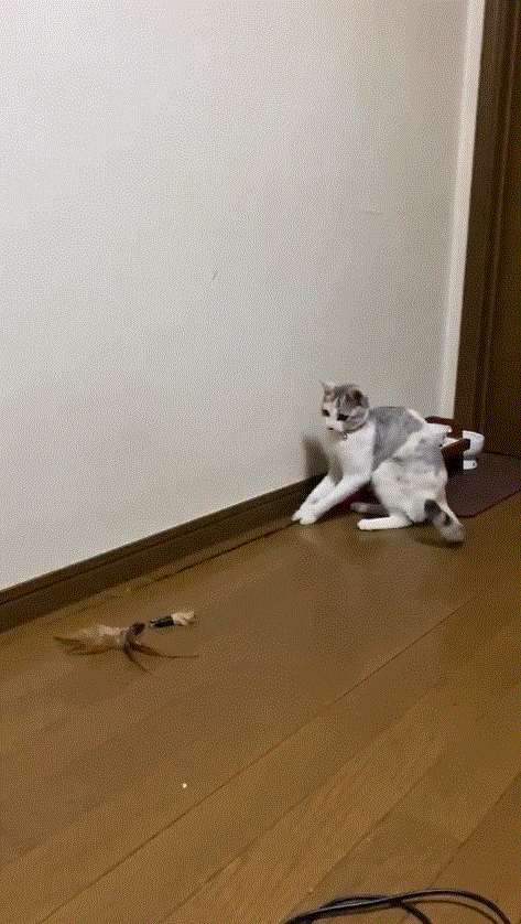 圖片2 圖片2