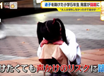 《對小朋友伸出援手的風險》爸爸帶兒子出門成了綁架犯 動不動就被報警讓日本人變無情 《對小朋友伸出援手的風險》爸爸帶兒子出門成了綁架犯 動不動就被報警讓日本人變無情