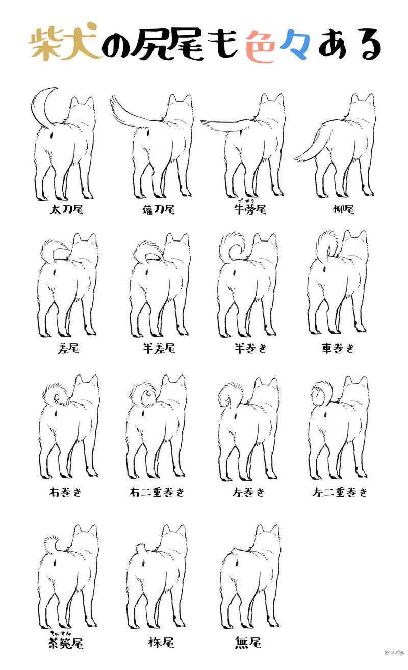 圖片2 圖片2