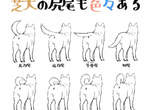 一張圖秒懂《柴犬尾巴的種類》原來尾巴不但可以解讀狗狗心情,連捲法也完全不同!? 一張圖秒懂《柴犬尾巴的種類》原來尾巴不但可以解讀狗狗心情,連捲法也完全不同!?