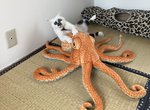 《貓的和風藝術》玩弄章魚玩偶的貓咪,有如浮世繪的構圖感開創寵物寫真新風格(?) 《貓的和風藝術》玩弄章魚玩偶的貓咪,有如浮世繪的構圖感開創寵物寫真新風格(?)