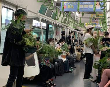 炎上《手抱盆栽搭電車的集團》把山手線變綠色車廂的行為藝術引發網友批判