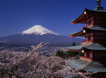 《新倉山淺間公園》外國人比日本人還熟的景點?網友竟以為是京都與富士的合成圖 《新倉山淺間公園》外國人比日本人還熟的景點?網友竟以為是京都與富士的合成圖