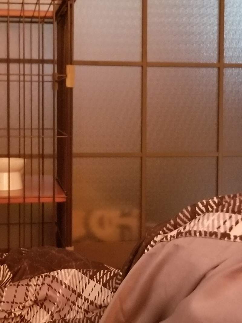 圖片2 圖片2