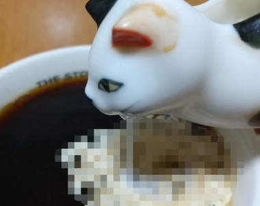 破壞力十足《貓的奶精罐》可愛外觀卻有輕易成就嘔吐構圖的致命缺點ww