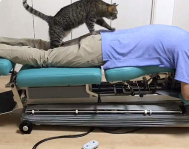 《貓的整體院》貓整體師為您提供貓式整體按摩，身心同時都被療癒到惹(〃∀〃)