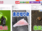 《炫耀奇妙事物的危險》前刑警呼籲留意小偷的釣魚手法 愛發文至少忍一忍不要立刻發 《炫耀奇妙事物的危險》前刑警呼籲留意小偷的釣魚手法 愛發文至少忍一忍不要立刻發
