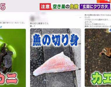 《炫耀奇妙事物的危險》前刑警呼籲留意小偷的釣魚手法 愛發文至少忍一忍不要立刻發