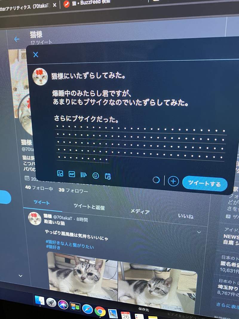 圖片8 推特話題《有電腦的好處》「可以被貓療癒」「貓能睡的地方變多」超謎意見續出... | 宅宅新聞