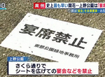 《肺炎疫情下的櫻花季》今年開趴賞花都要偷偷摸摸 坐著喝杯啤酒也會在意旁人眼光 《肺炎疫情下的櫻花季》今年開趴賞花都要偷偷摸摸 坐著喝杯啤酒也會在意旁人眼光
