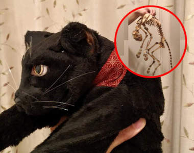 從骨架就開始製作的《骨貓》目的為了還原出最真實的手感