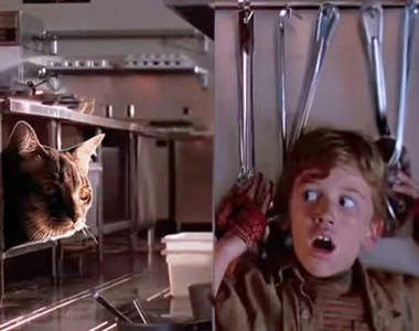 在侏儸紀公園《把恐龍換成可愛小動物》恐怖感瞬間歸零立馬變成超CUTE萌片