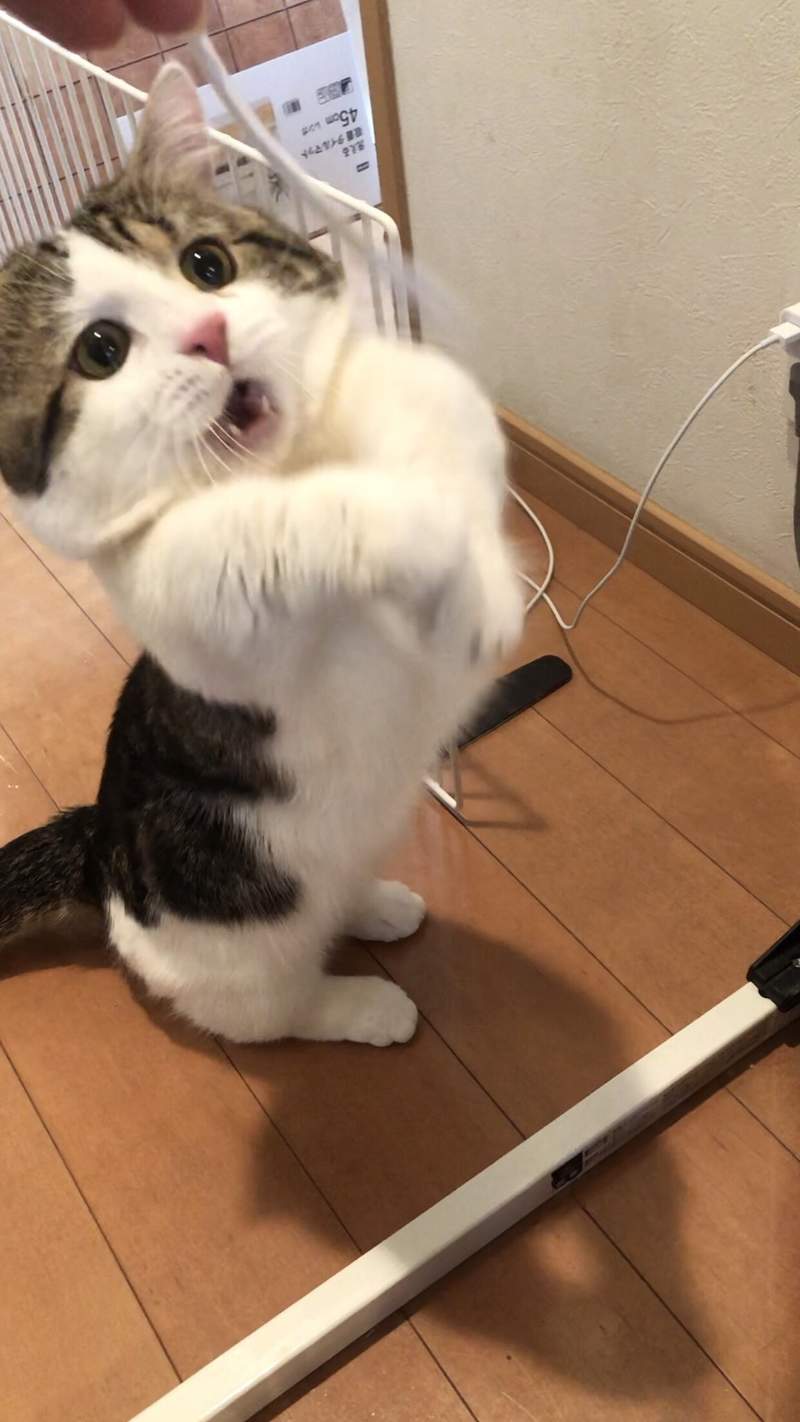 圖片2 圖片2