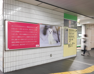 《顛覆廣告概念的化妝品廣告》反正你們也不會看內容，那就隨便放隨便寫囉ww