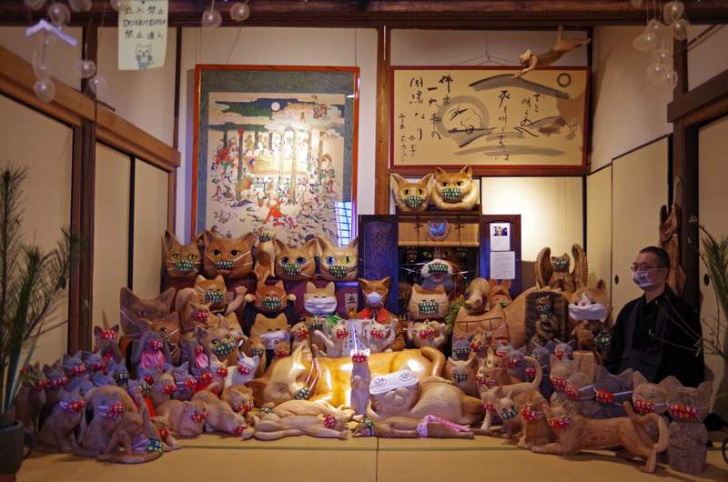 圖片8 日本貓寺防疫大作戰《雲林寺》寺內貓咪為了對抗新冠病毒也開始戴起口罩... | 宅宅新聞