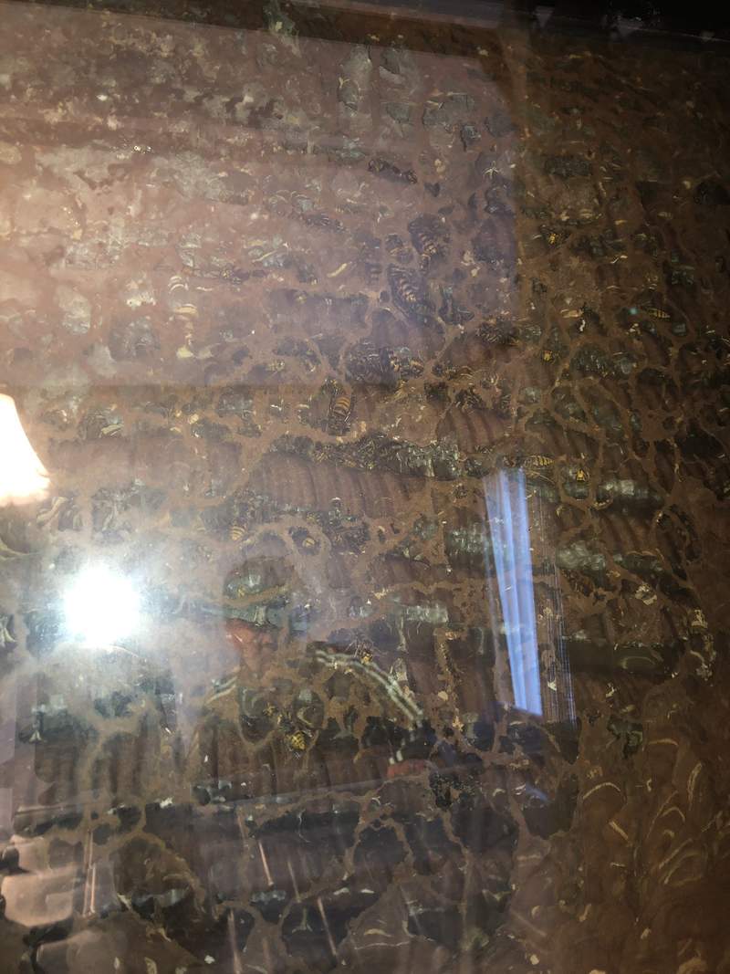 圖片2 圖片2